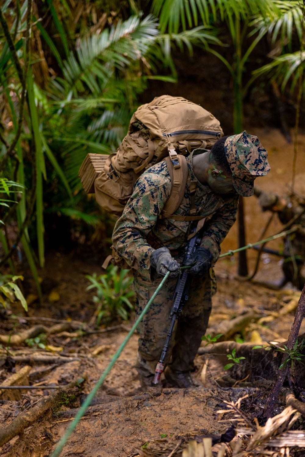 MRF-D 25.3: 3rd Bn., 11th Marines, trains in jungle warfare tactics