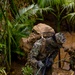 MRF-D 25.3: 3rd Bn., 11th Marines, trains in jungle warfare tactics