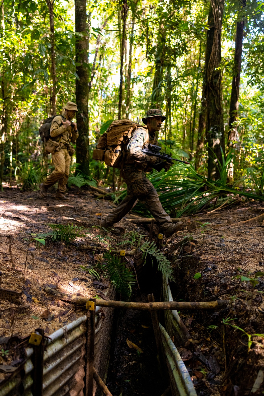 MRF-D 25.3: 3rd Bn., 11th Marines, trains in jungle warfare tactics
