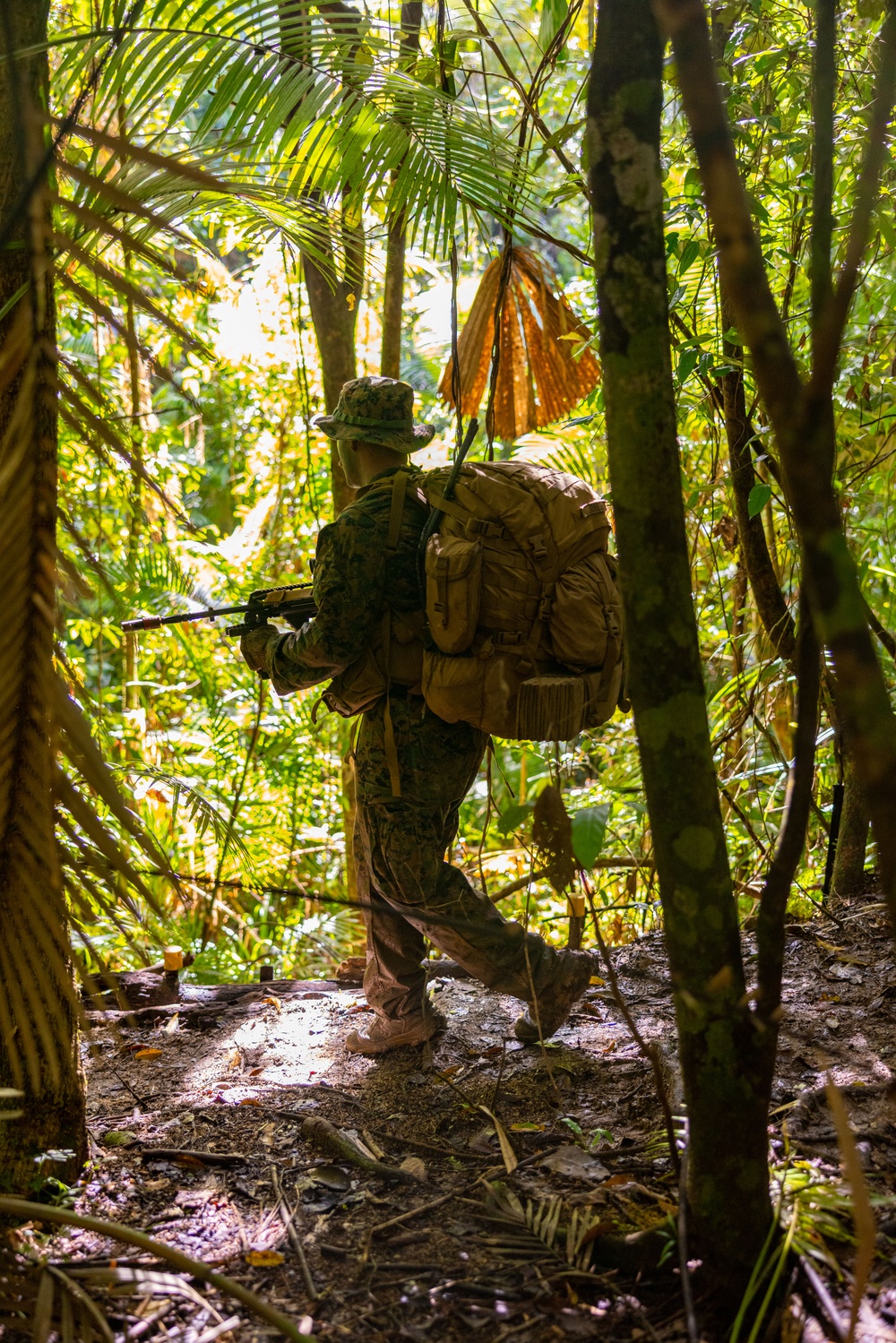 MRF-D 25.3: 3rd Bn., 11th Marines, trains in jungle warfare tactics