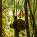 MRF-D 25.3: 3rd Bn., 11th Marines, trains in jungle warfare tactics