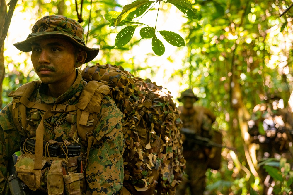 MRF-D 25.3: 3rd Bn., 11th Marines, trains in jungle warfare tactics