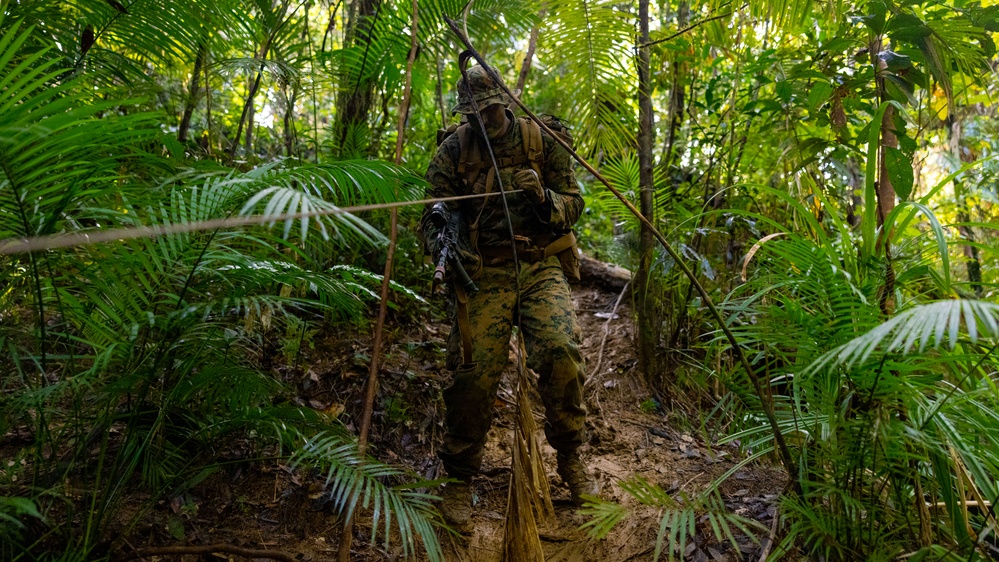 MRF-D 25.3: 3rd Bn., 11th Marines, trains in jungle warfare tactics