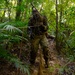 MRF-D 25.3: 3rd Bn., 11th Marines, trains in jungle warfare tactics