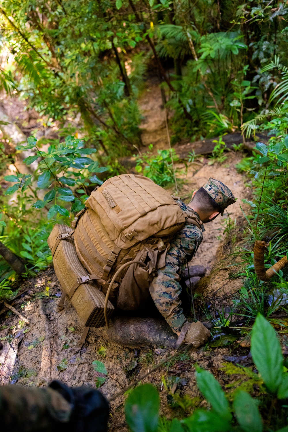 MRF-D 25.3: 3rd Bn., 11th Marines, trains in jungle warfare tactics