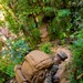 MRF-D 25.3: 3rd Bn., 11th Marines, trains in jungle warfare tactics