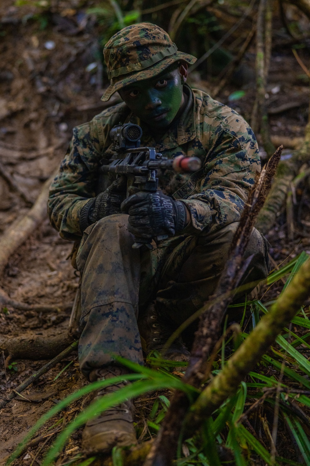 MRF-D 25.3: 3rd Bn., 11th Marines, trains in jungle warfare tactics