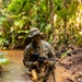 MRF-D 25.3: 3rd Bn., 11th Marines, trains in jungle warfare tactics