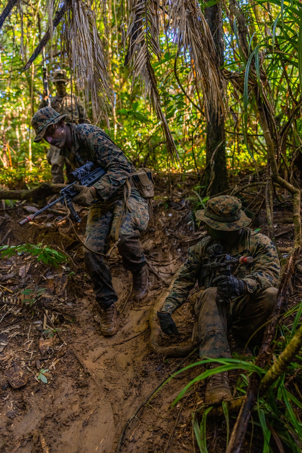 MRF-D 25.3: 3rd Bn., 11th Marines, trains in jungle warfare tactics