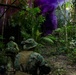MRF-D 25.3: 3rd Bn., 11th Marines, trains in jungle warfare tactics