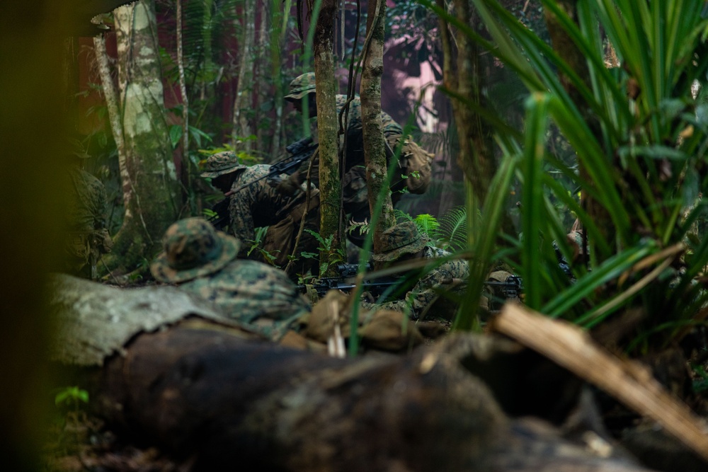 MRF-D 25.3: 3rd Bn., 11th Marines, trains in jungle warfare tactics
