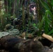 MRF-D 25.3: 3rd Bn., 11th Marines, trains in jungle warfare tactics