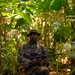 MRF-D 25.3: 3rd Bn., 11th Marines, trains in jungle warfare tactics
