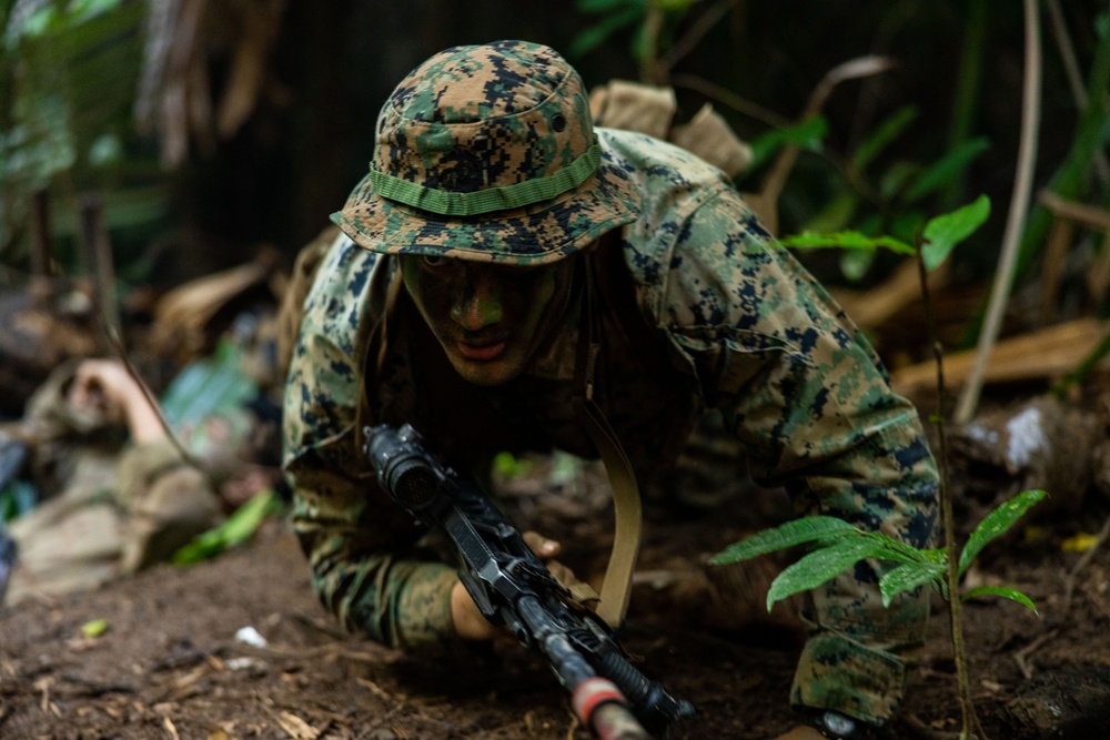 MRF-D 25.3: 3rd Bn., 11th Marines, trains in jungle warfare tactics