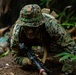 MRF-D 25.3: 3rd Bn., 11th Marines, trains in jungle warfare tactics