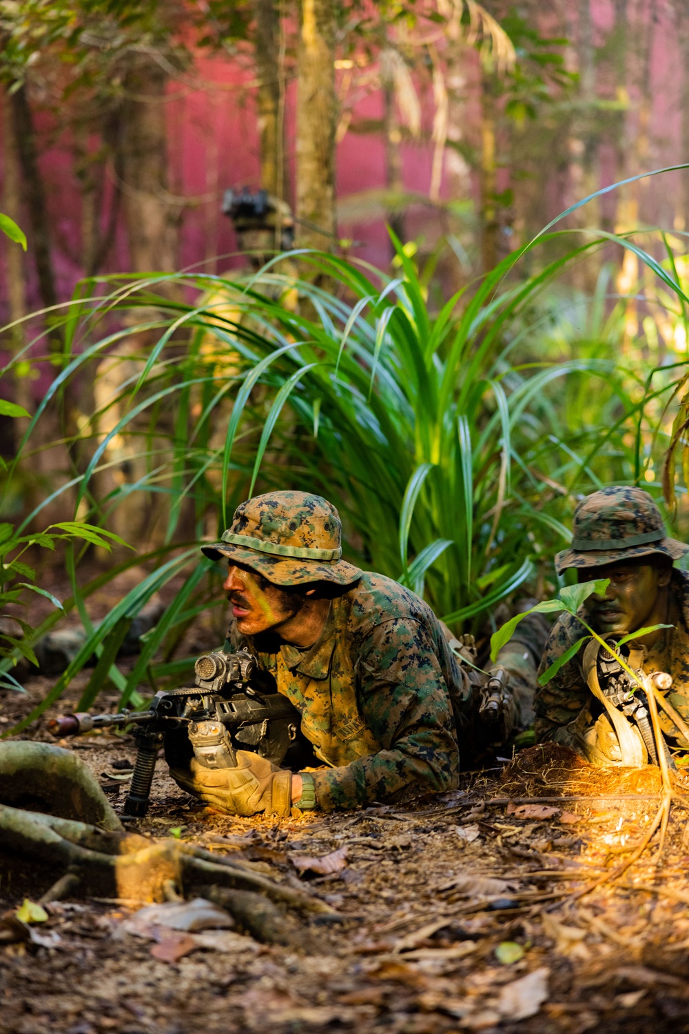 MRF-D 25.3: 3rd Bn., 11th Marines, trains in jungle warfare tactics