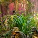 MRF-D 25.3: 3rd Bn., 11th Marines, trains in jungle warfare tactics