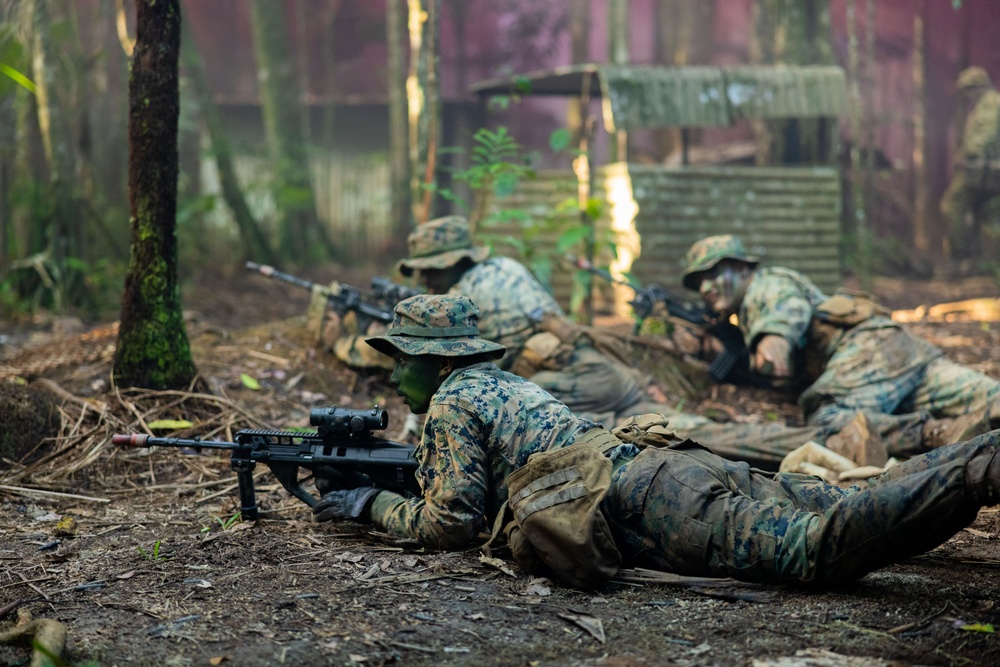 MRF-D 25.3: 3rd Bn., 11th Marines, trains in jungle warfare tactics