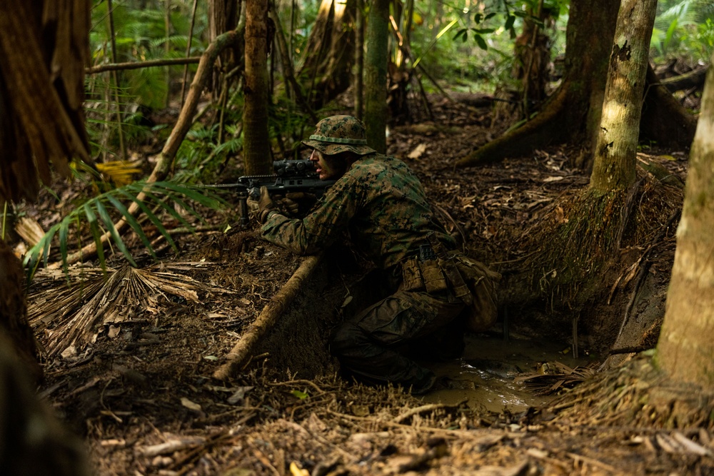 MRF-D 25.3: 3rd Bn., 11th Marines, trains in jungle warfare tactics