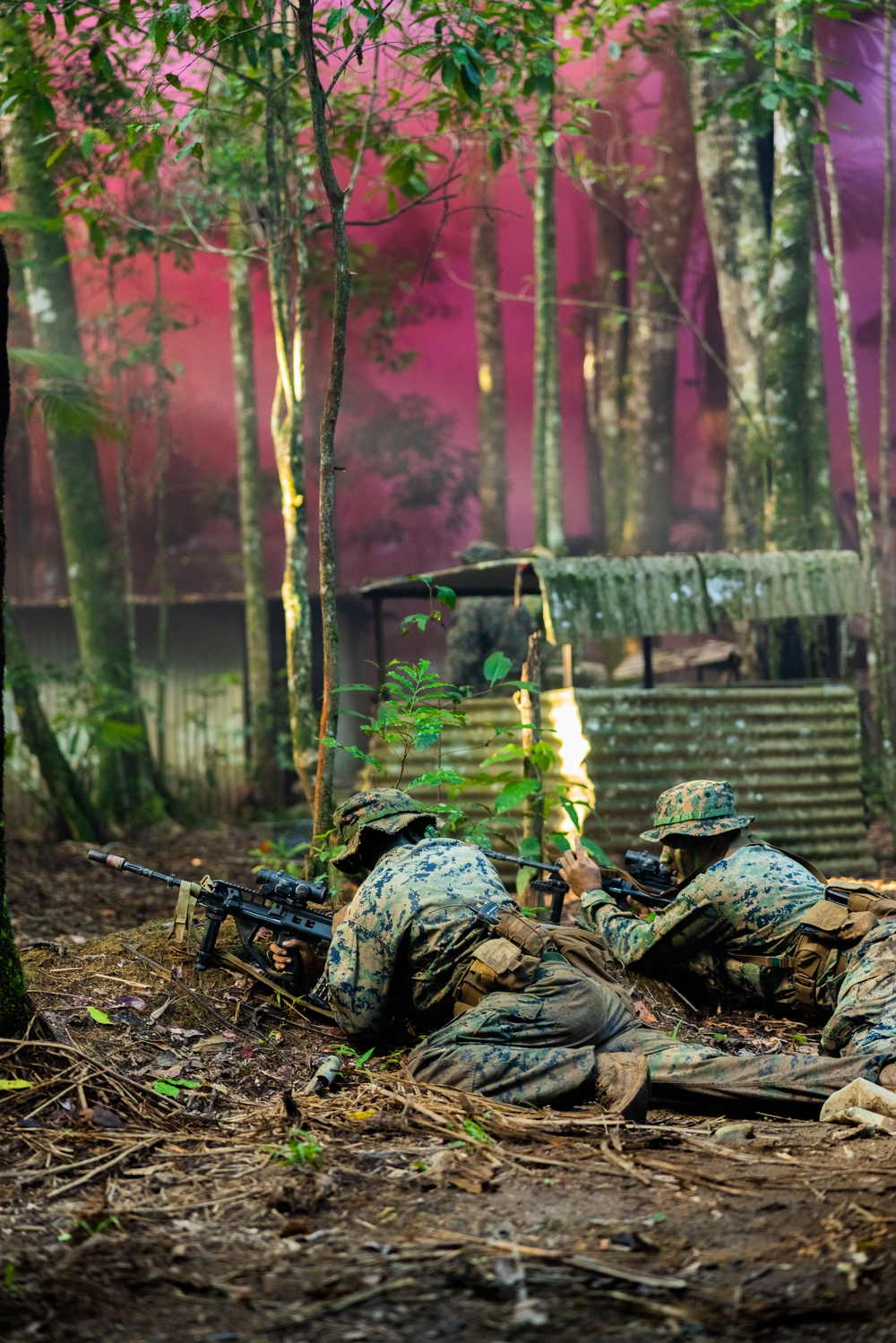 MRF-D 25.3: 3rd Bn., 11th Marines, trains in jungle warfare tactics