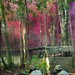 MRF-D 25.3: 3rd Bn., 11th Marines, trains in jungle warfare tactics