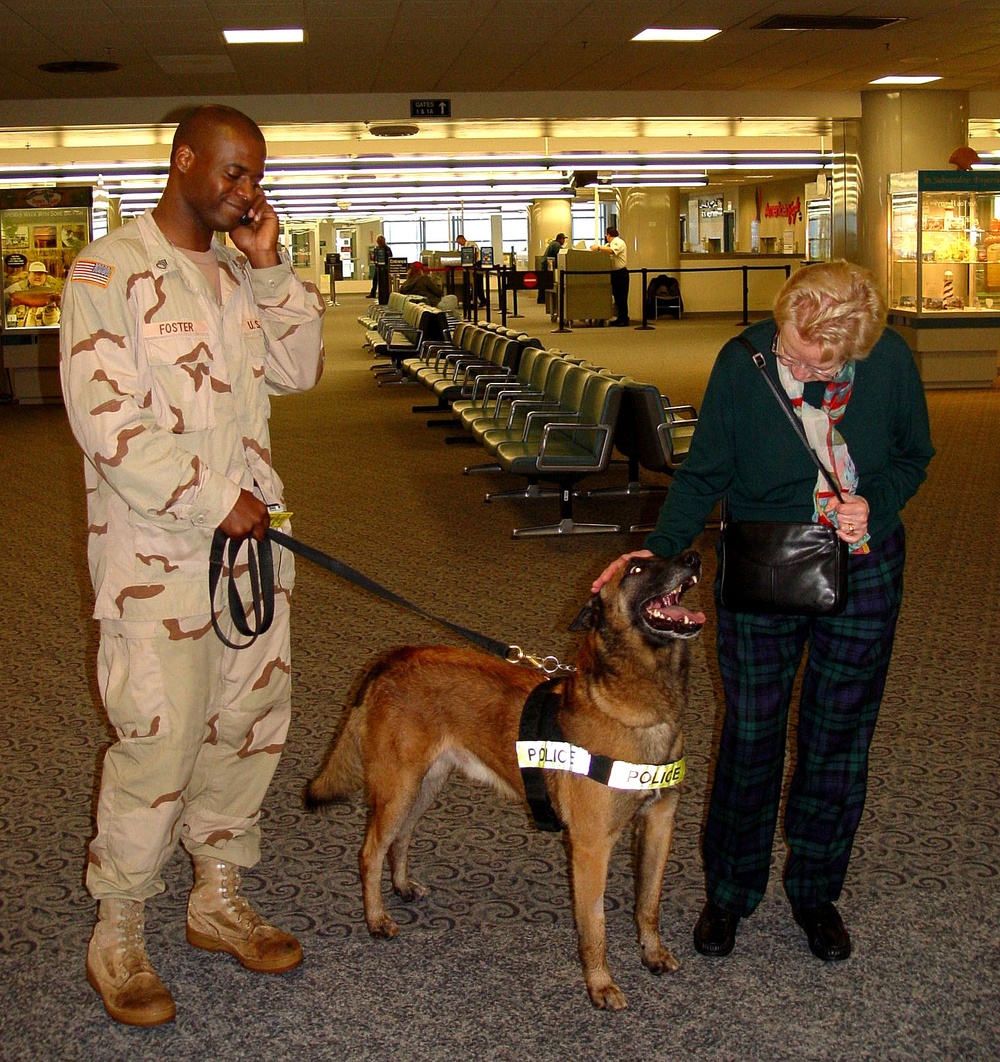 Military Working Dog Befriends Visiting Greeter at Maine Airport