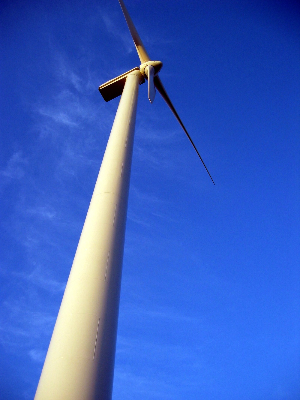 Towering Wind Turbines Harness Renewable Energy