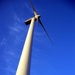 Towering Wind Turbines Harness Renewable Energy