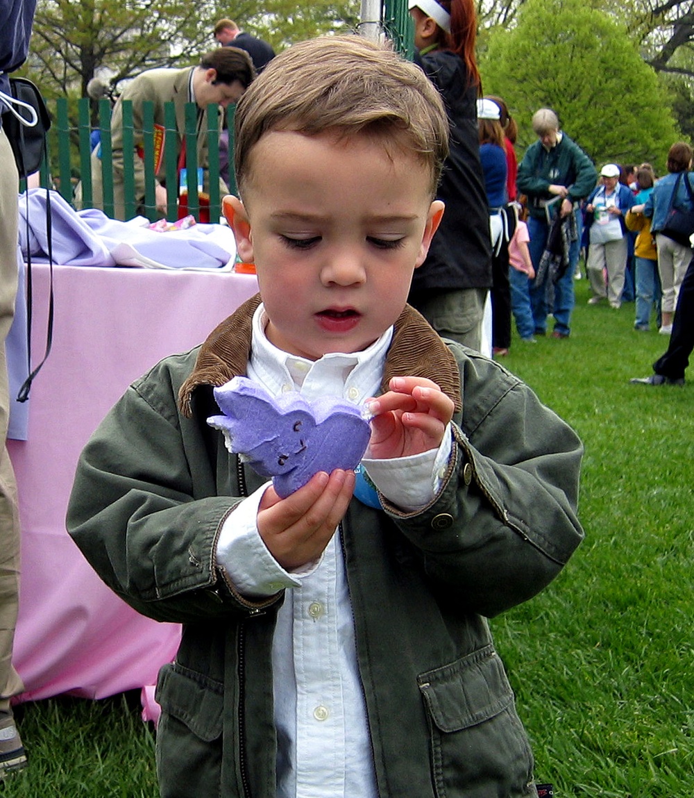 Toddler Ponders Marshmallow Bunny at White House Easter Egg Roll