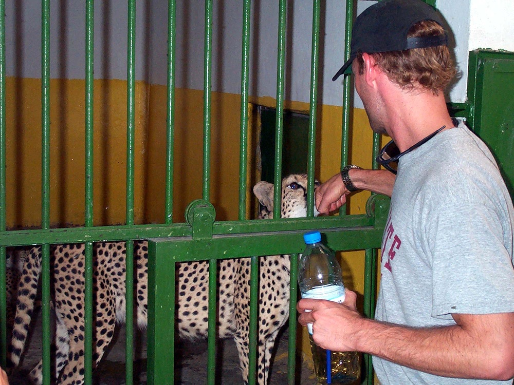 WildAid Liaison Pets Cheetah at Rebuilt Baghdad Zoo