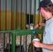 WildAid Liaison Pets Cheetah at Rebuilt Baghdad Zoo