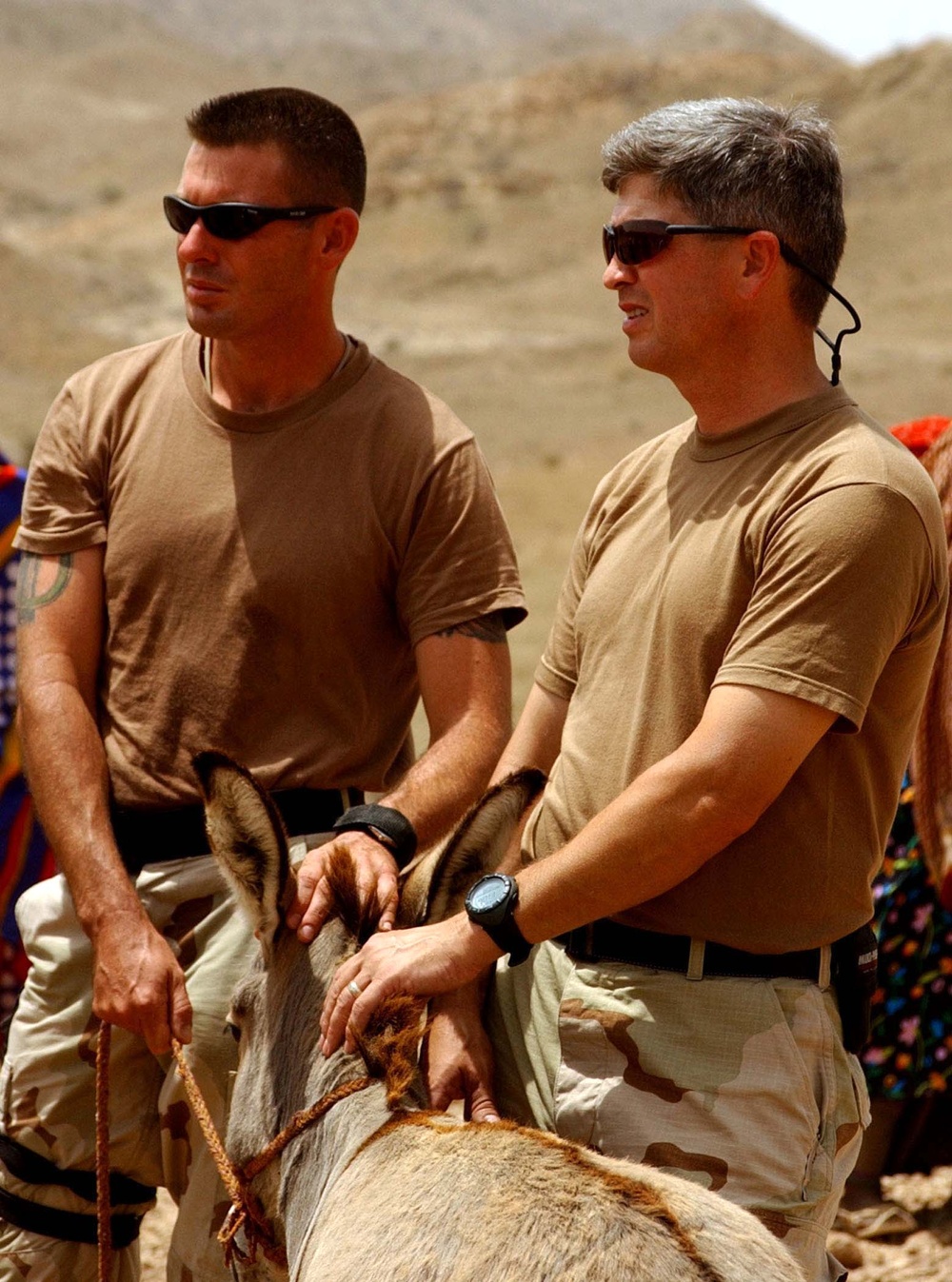 U.S. Army Medics Provide Care to Donkey in Djibouti