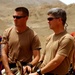 U.S. Army Medics Provide Care to Donkey in Djibouti