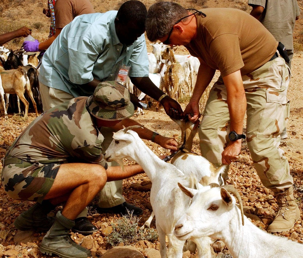 U.S. and French Militaries Provide Veterinary Care in Djibouti