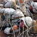 Marines Train with French Foreign Legion in Djibouti