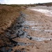 Engineers Construct Dam to Contain Oil Spill in Tigris River