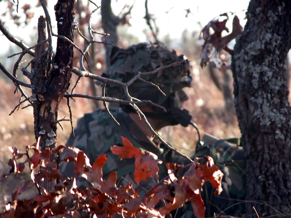 Camouflaged 504th Parachute Infantry Regiment Radioman Blends into Foliage During Exercise