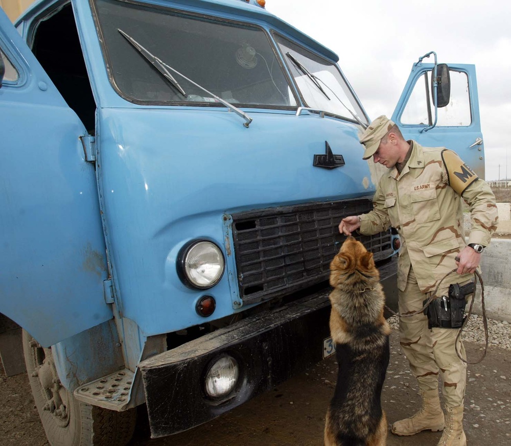 Military Police and K-9 Unit Inspect Truck for Explosives at Camp Stronghold Freedom