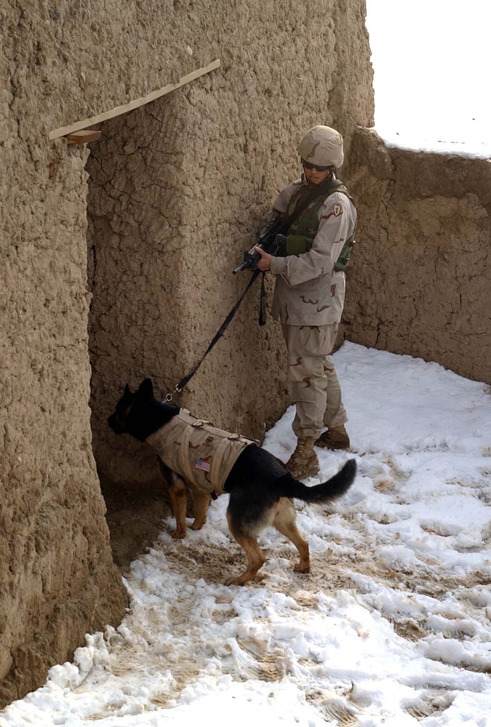 Military Working Dog Clears Doorway at Bagram Air Base