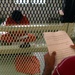 Detainee Receives Combatant Status Review at Guantanamo Bay