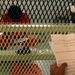 Detainee Receives Combatant Status Review at Guantanamo Bay