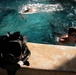 Rescue Swimmers Maintain Fitness Through Rigorous Training