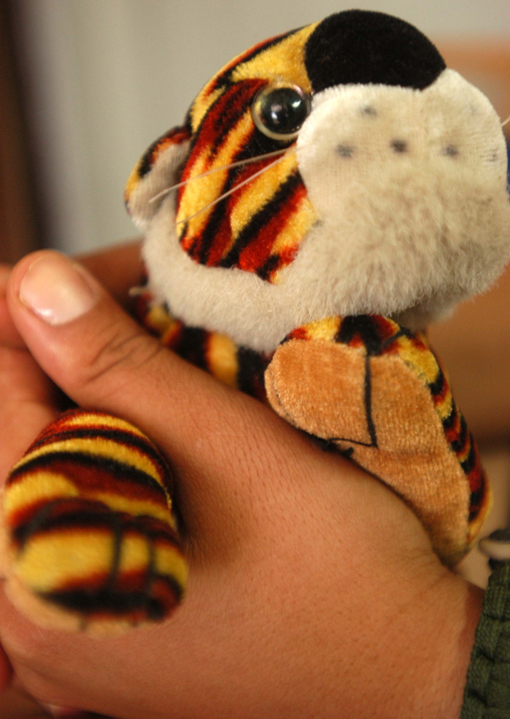 Translator's Lifeline: Soldier Clings to Stuffed Toy Amid Separation from Family