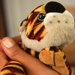Translator's Lifeline: Soldier Clings to Stuffed Toy Amid Separation from Family