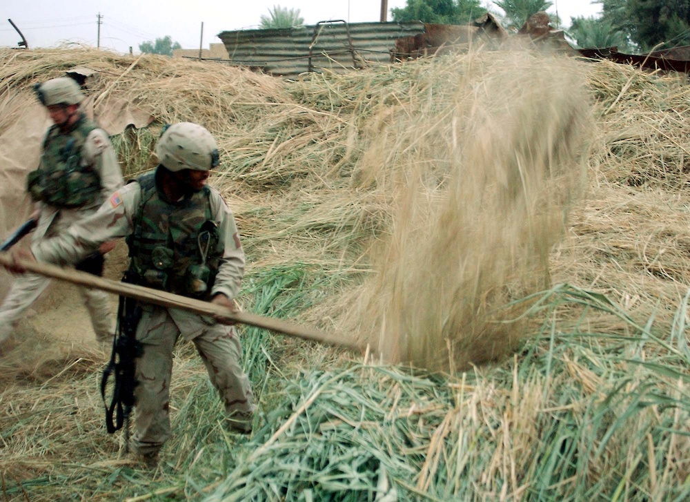 Soldiers Scour Farmhouse for Weapons After Massive Ammunition Cache Discovered