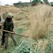 Soldiers Scour Farmhouse for Weapons After Massive Ammunition Cache Discovered