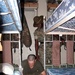 Drill Instructor Pushes Marine Recruit to Improve Barracks Appearance at Parris Island