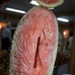 Dining Facility Workers Showcase Creativity with Fruit and Vegetable Carvings for Thanksgiving Meal in Iraq