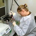 Soldier Conducts Field Test for Biological Agents