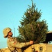 Soldiers Decorate Christmas Tree at Camp Taji